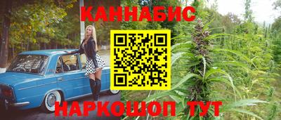 спайс Гагарин