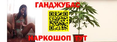 спайс Гагарин