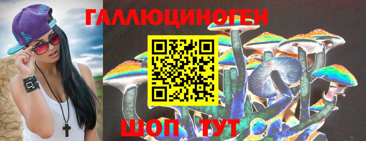 Галлюциногенные грибы мухоморы Москва
